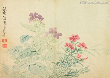 花草山水國畫 惲南田高清掃描件