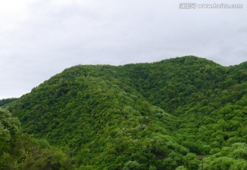 春天的山