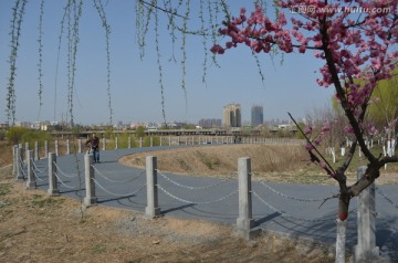 灞河新景