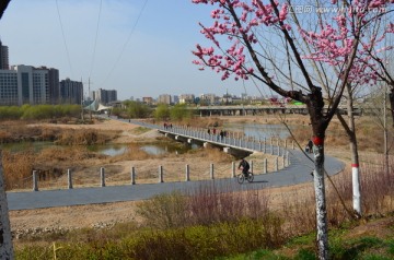 灞河新景