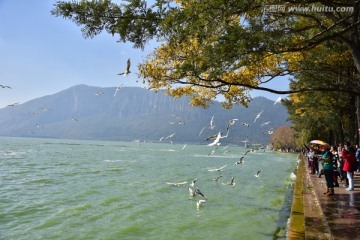 西山滇池 海埂公园