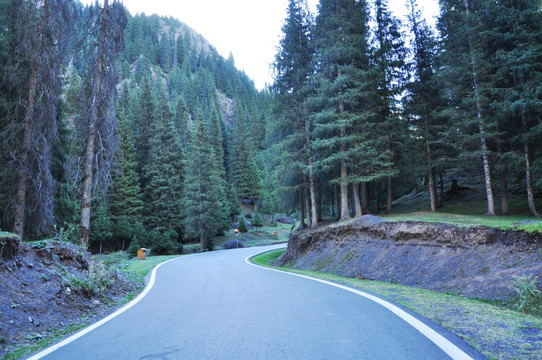 弯曲的山林公路