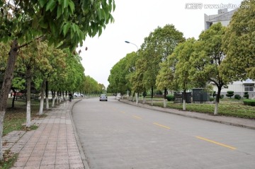 合工大 校园道路