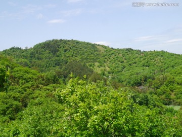 满目青山