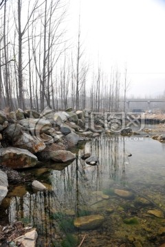 河水 小溪