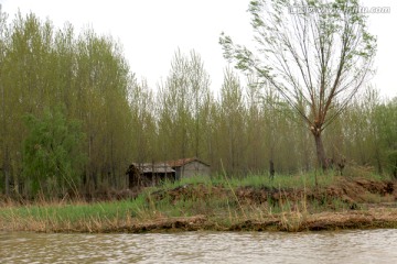 河边丛林里的小屋