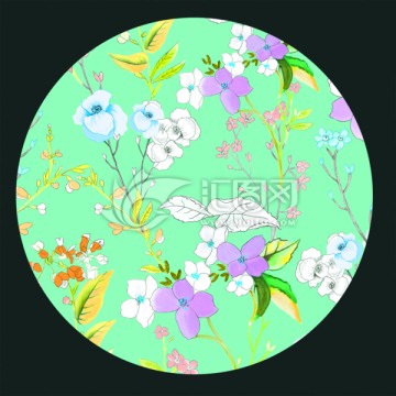 月季花卉