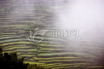 篁嶺