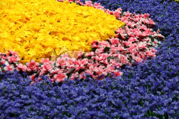花海 鲜花背景 花底纹 花卉