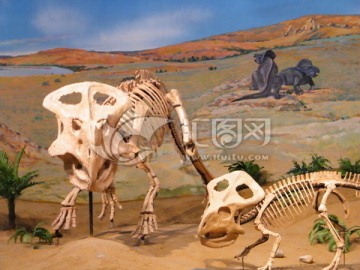 恐龙骨骼化石