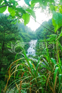 赣州滴水寨