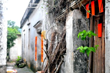 广东民居 老屋 岁月 苔鲜