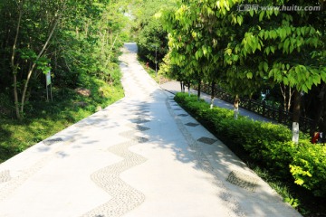 道路