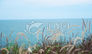 巴厘島金巴蘭森林度假酒店