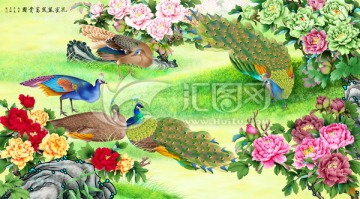孔雀 牡丹 孔雀鳳凰富貴圖