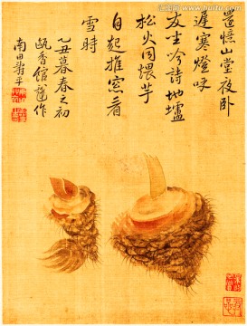圖畫花