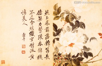 古畫花