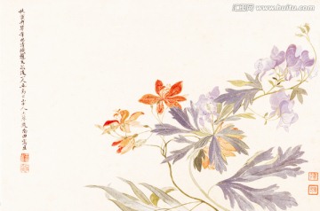 惲壽平 花卉牡丹