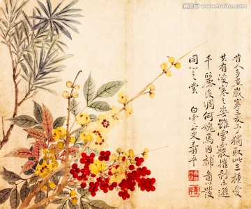 惲壽平 花卉牡丹