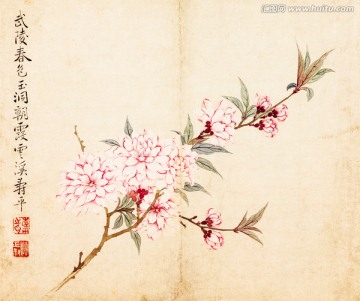 花卉圖冊之桃花