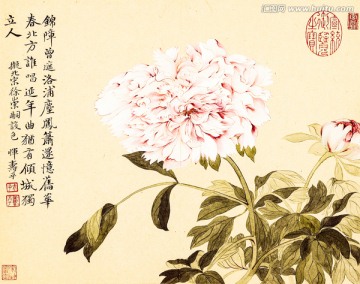 牡丹 惲壽平 臺博