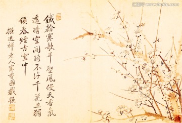 清 惲壽平 寒香圖