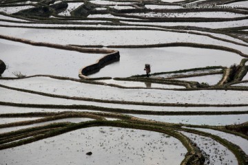 云阳梯田