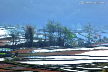 元阳梯田