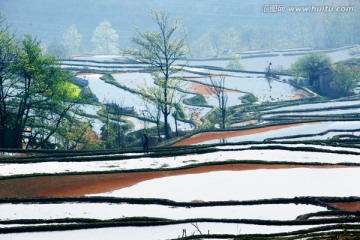 元阳梯田