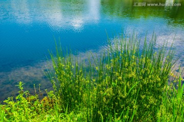 水边小景