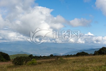 高山草甸