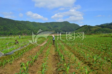 田园风光