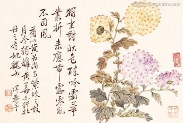 清 惲壽平 牡丹