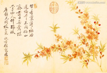 清 惲壽平 折枝圖