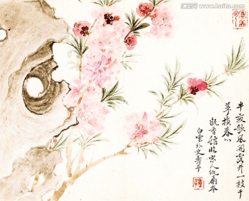 清惲壽平 甌香館寫生冊(cè) 桃花