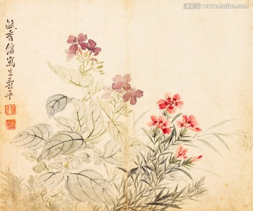 惲壽平花卉冊豆花石竹