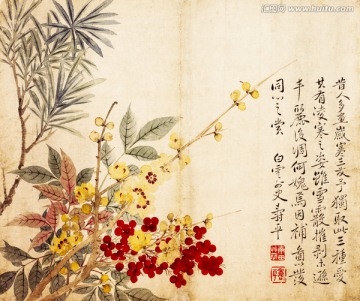 惲壽平花卉冊(cè)歲寒三友
