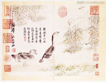 惲壽平山水花鳥圖冊之群鵝