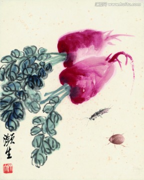 齊白石國(guó)畫(huà) 蘿卜
