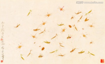 齊白石 昆蟲圖