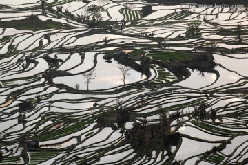 元阳梯田