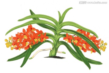 復(fù)古花朵