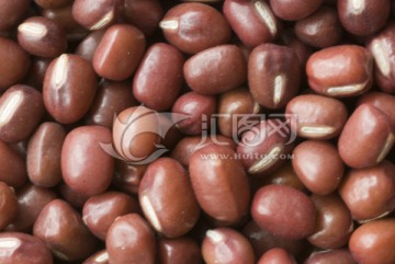 豇豆