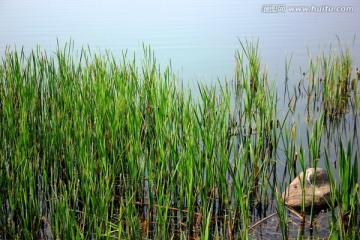 南京龙池湖风光