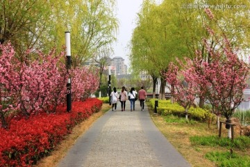 南京龙池湖风光