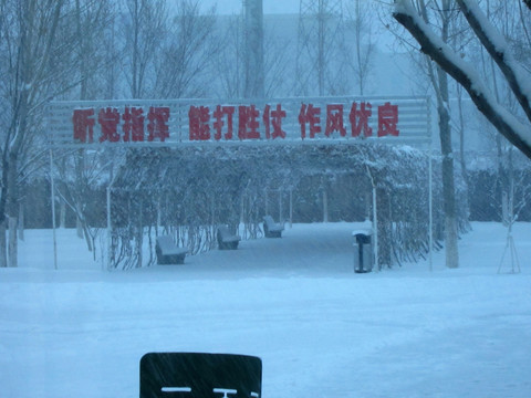 雪地