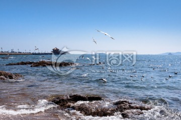 青岛湾风光