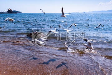 青岛湾风光