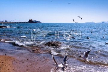 青岛湾风光