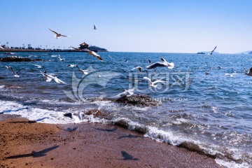 青岛湾风光